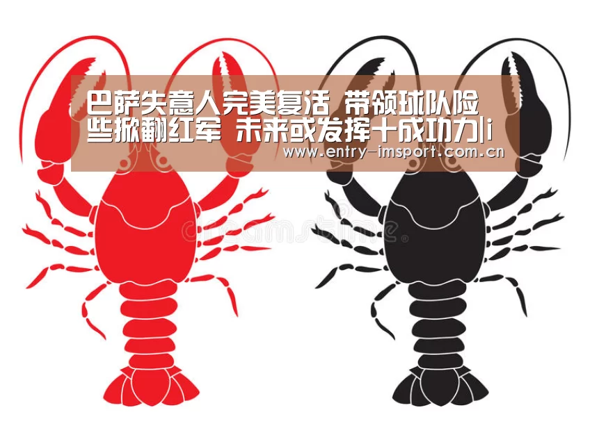im体育