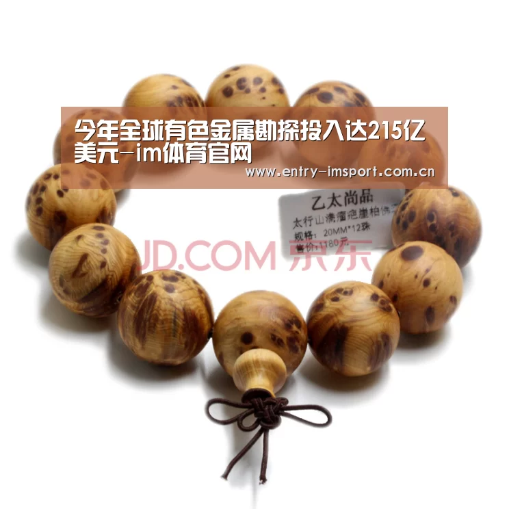 今年全球有色金属勘探投入达215亿美元-im体育官网(图1) im体育