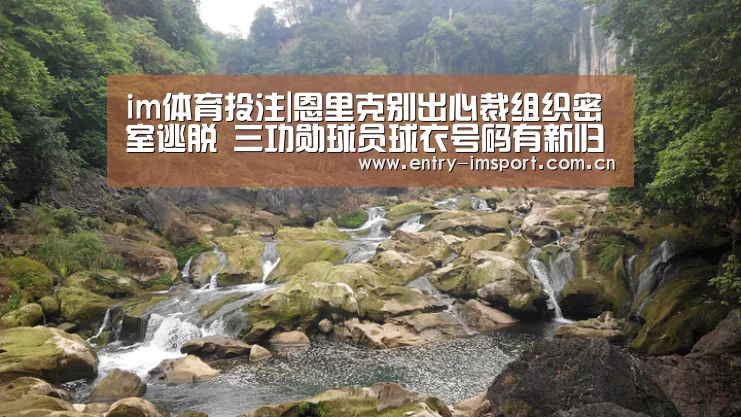 im体育投注