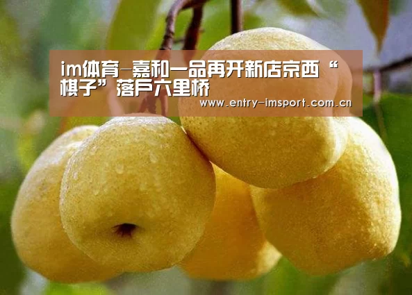 im赛事